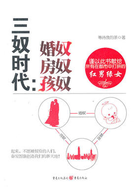 三奴时代——婚奴 房奴 孩奴（谨以此书献给所有在都市中打拼的红男绿女）