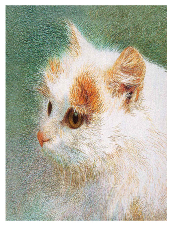 Suzhou embroidery Embroidery manual diy Beginner Kit Persian Antiquity Embroidery Silk Material package Stitch coursein the Home Fabric , Embroidery Kit , Embroidery  category - from Buy2taobao.com to provide professional Taobao agent buy service