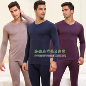 专柜正品 欧林雅竹纤维男士 保暖内衣套装 秋冬新款 V领薄款 FP704