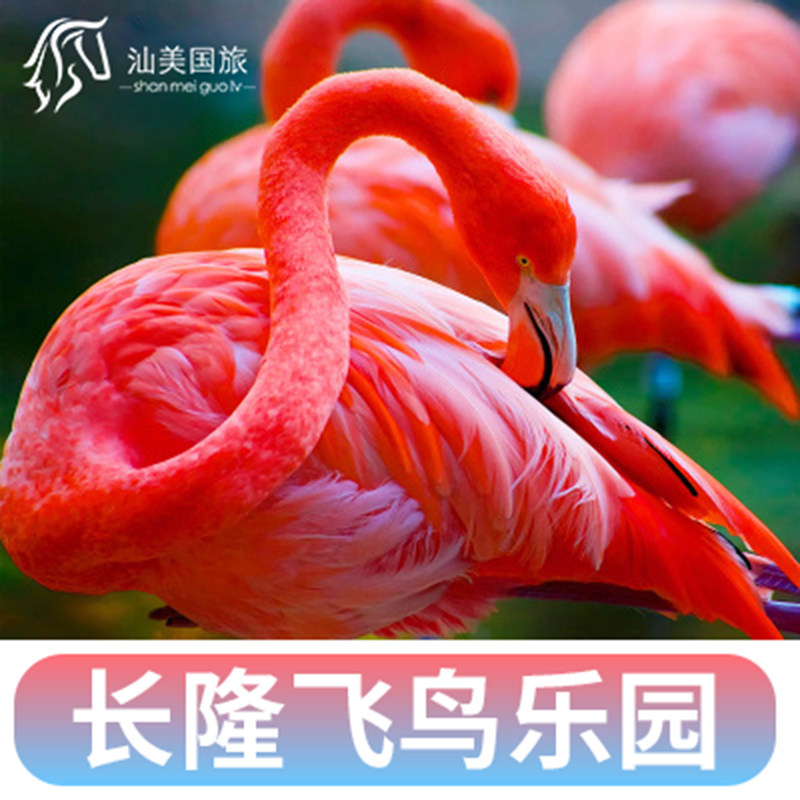 [广州长隆飞鸟乐园-1日门票]长隆飞鸟世界鳄鱼公园成人家庭票