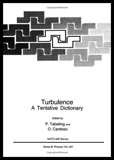 【预售】Turbulence: A Tentative Dictionary