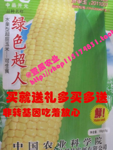 绿色甜玉米非转基因春季种子包邮