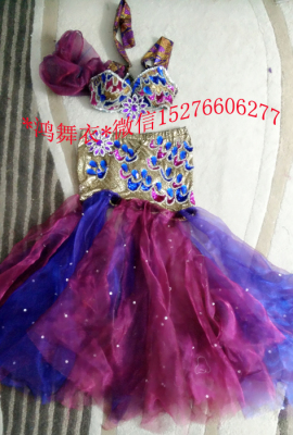 鸿舞衣13016 肚皮舞 量身订做 演出服 舞蹈服15新款15新款