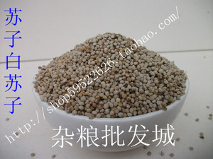 杂粮 苏子/白苏子/ 鹦鹉 芙蓉鸟珍珠鸟鸟粮500g一件等于一斤