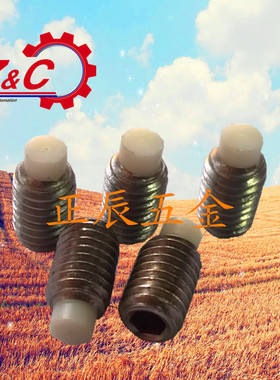 【替代】ELESA+GANTER平头螺钉913.3/913.5