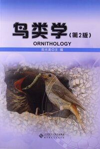 鸟类学 9787303139477 北京师范大学出版社 正版书籍
