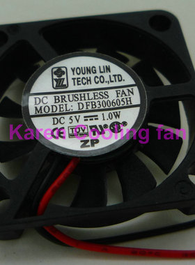全新永林3006 3CM超薄笔记本风扇DFB300605H 5V 1.0W 2线静音风扇
