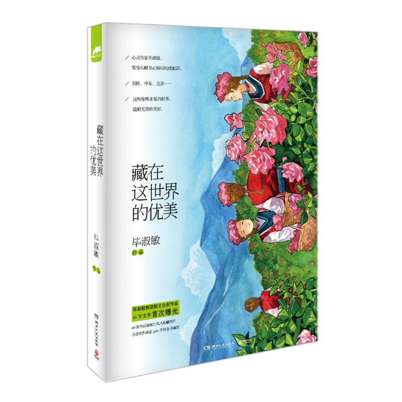 藏在这世界的优美 毕淑敏继恰到好处的幸福、愿你与这世界温暖相拥之后又一力作 散文随笔 笔触唯美 新华书店正版