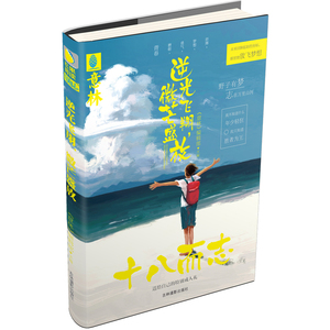 意林：十八而志系列--逆光飞翔，微芒盛放