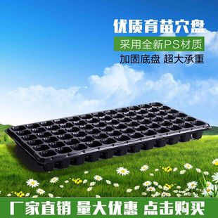 优质PS材质苗木穴盘 营养钵 多孔育苗盘 林木育苗盘 育苗容器穴盘
