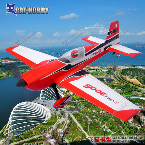 像真特技机翼展空机飞猫模型