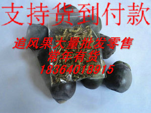 越南追风果刺虎 越南草药搭配 效果更佳20个果子一包药  套餐外用
