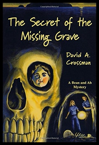 【预售】The Secret of the Missing Grave