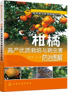 柑橘种植管理技术 淳长品主编 柑橘病虫害诊治技术书籍9787122278432 柑橘高产优质栽培与病虫害防治图解