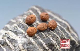 佛珠 隔片 手持 缅茄雕刻 星月菩提 龙眼菩提 花托 小凤眼菩提子