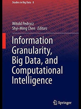 【预售】Information Granularity, Big Data, and