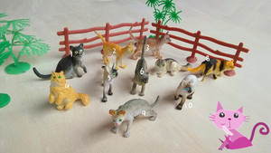 精品散货仿真家禽动物模型玩具 猫咪 波斯猫 灵猫 黑猫 加菲猫
