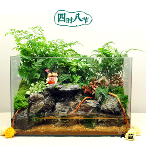 40CM超白水陆缸 水陆苔藓微景观 超白缸成品 可养鱼虾 可私人定制