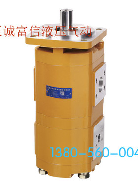 合肥长源  液压齿轮泵 CBGz2080-BFP  BFH/BFX/BLP/BLH/BLX