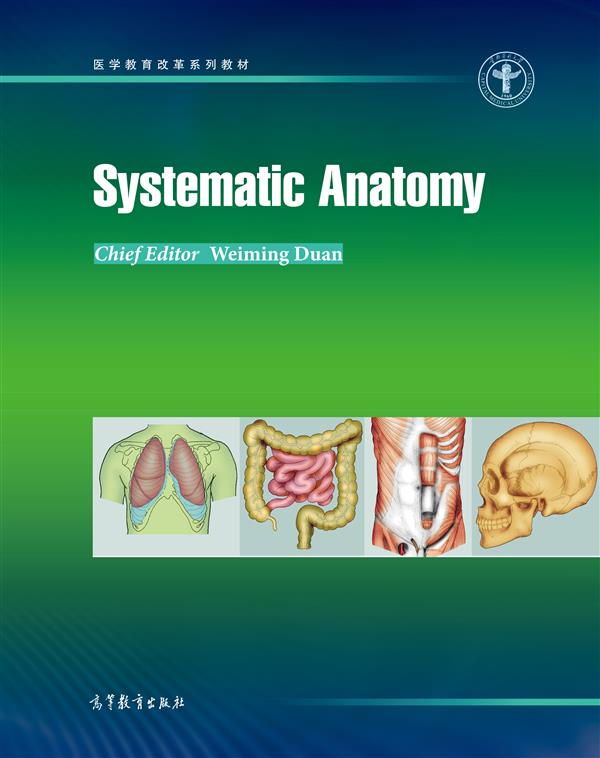 Systematic Anatomy（系统解剖学）-段维明