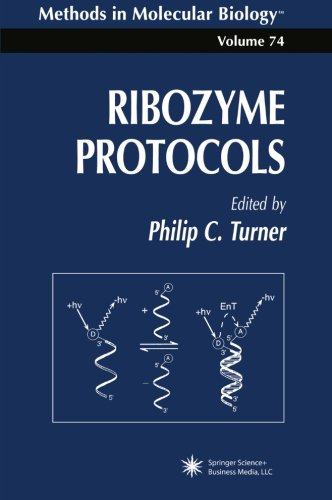 美国库房发货,通常付款后5-8周到货！