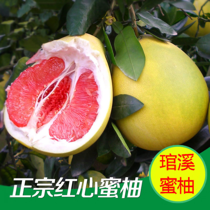 正宗重庆垫江长寿平和红心蜜柚琯溪蜜柚红心柚子促销2个装包邮-封面