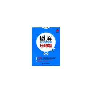 图解名校初中数学压轴题（代数）
