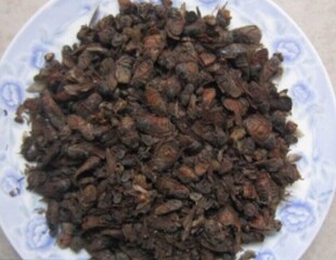 中药材牛虻虫 忙虫 芒虫 牛苍蝇 牛蚊子另有小牛虻虫