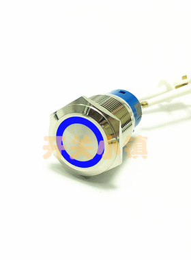 PX 19MM金属按钮开关 自锁防水按键 12V蓝色天使眼 车灯改装开关
