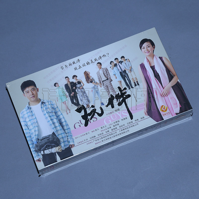 正版 电视剧 玩伴 精装珍藏版 12DVD 孙涛 戴娇倩
