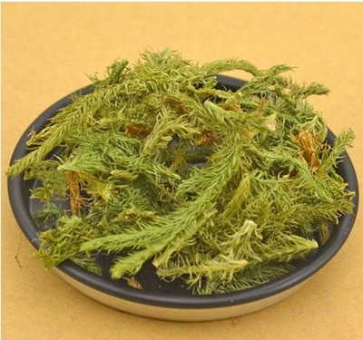 中药材伸筋草 新货伸筋草500克 正品舒筋草 生舒筋草大伸筋草舒筋