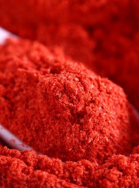 INDIAN FOOD 印度食品 咖喱 香料 辣椒粉 RED CHILLI POWDER 100g