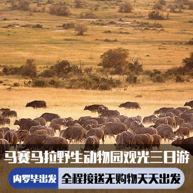 马赛马拉3日游