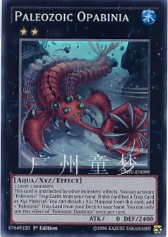 广州童梦正版英文910现货游戏王