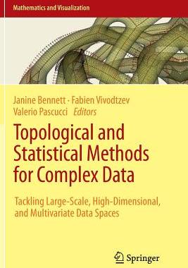 【预订】Topological and Statistical Methods ...