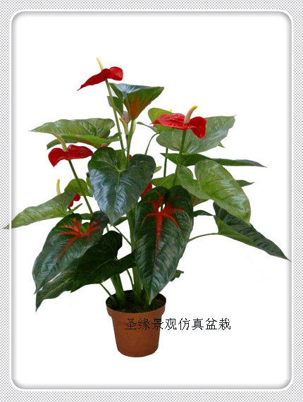 仿真红掌45cm4杆15叶6花 75cm 仿真红掌盆栽滴水观音盆栽客户盆栽