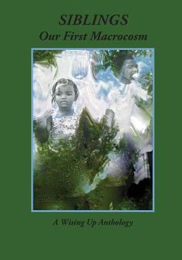 【预售】Siblings: Our First Macrocosm