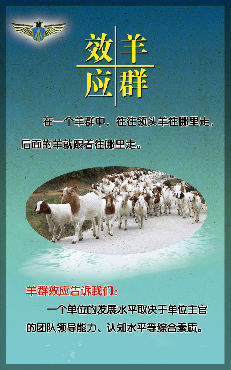 745海报印制展板写真喷绘贴纸3企业文化羊群效应宣传海报