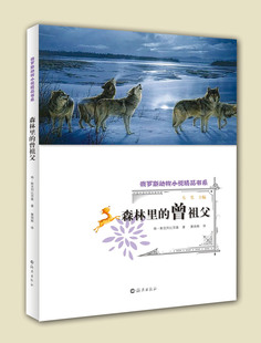 森林里的曾祖父/俄罗斯动物小说精品书系 (俄罗斯)格·斯克列比茨基|主编:韦苇|译者:栗周熊 海燕儿童文学少儿读物幼儿故事书