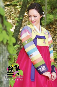 朝鲜族民族服装 新娘婚礼敬酒周岁宴韩服H-X01190-126