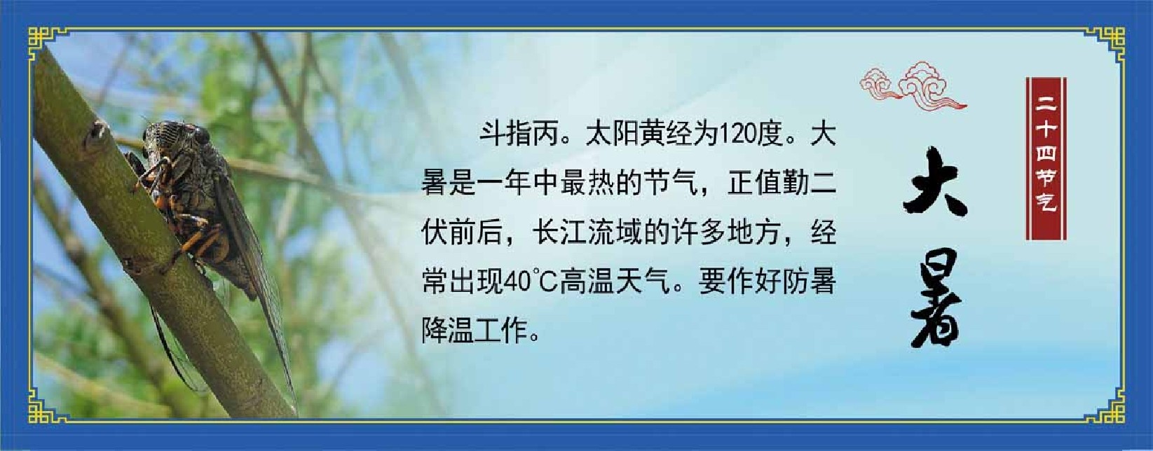 761海报印制展板写真喷绘470二十四24节气介绍大暑