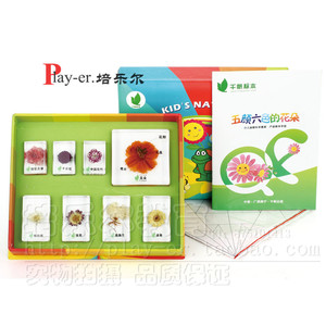 新款五颜六色的花朵幼儿园儿童科学实验室认识8种花朵外形包埋标