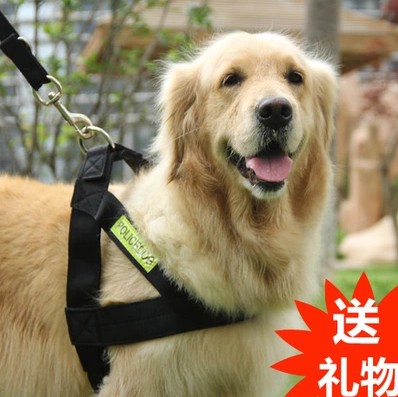 狗用品金毛大型犬可调解牵引绳