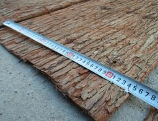 Bougie - Ref 2490244 Image 4