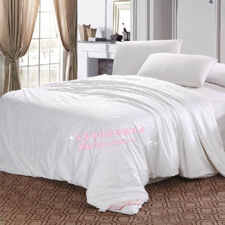 出口新加坡莱佛士五星酒店 天然100桑蚕丝被蚕丝被 被子7斤促销,床上用品,蚕丝被,淘宝优惠券,粉丝福利购,淘宝优惠卷