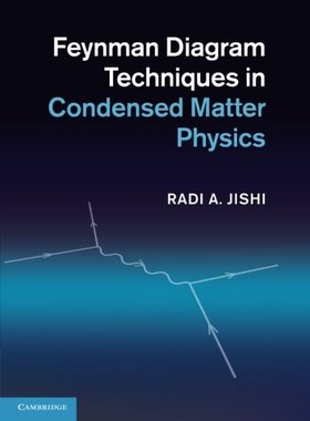 Feynman Diagram Techniques in Conden...