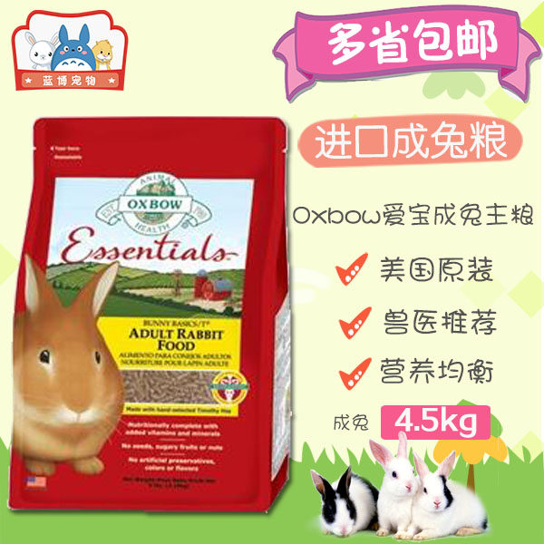 被小动物治愈的青春：第二弹——中年痴汉垂耳兔的日常