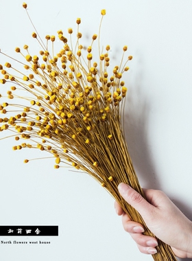 艺术清新装饰摆设拍摄道具干花