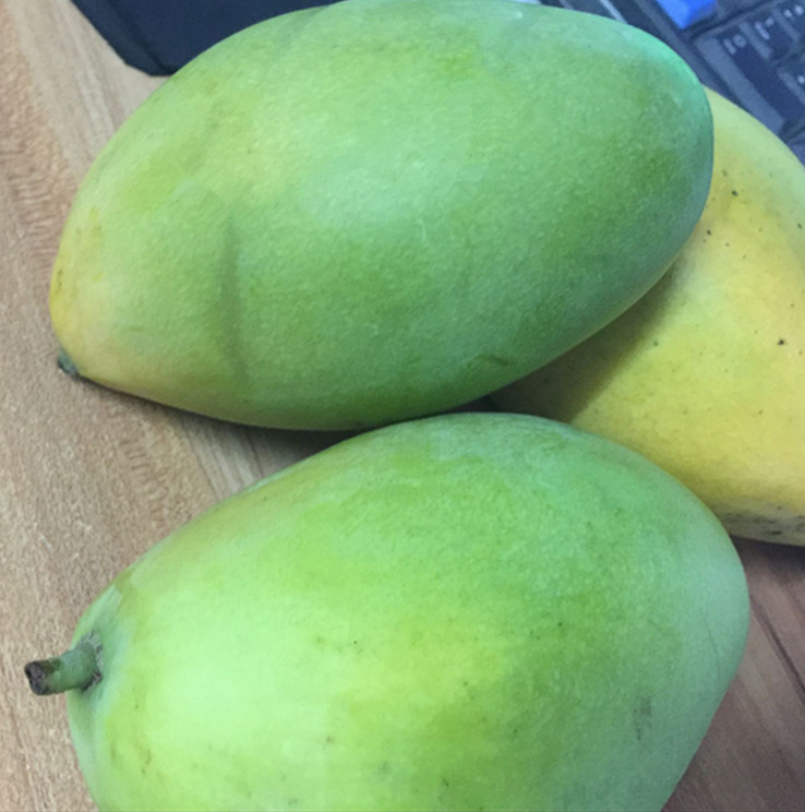 一口田农产品青皮芒果1个新鲜