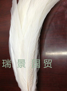 各种长度瑞景国贸银鸡毛